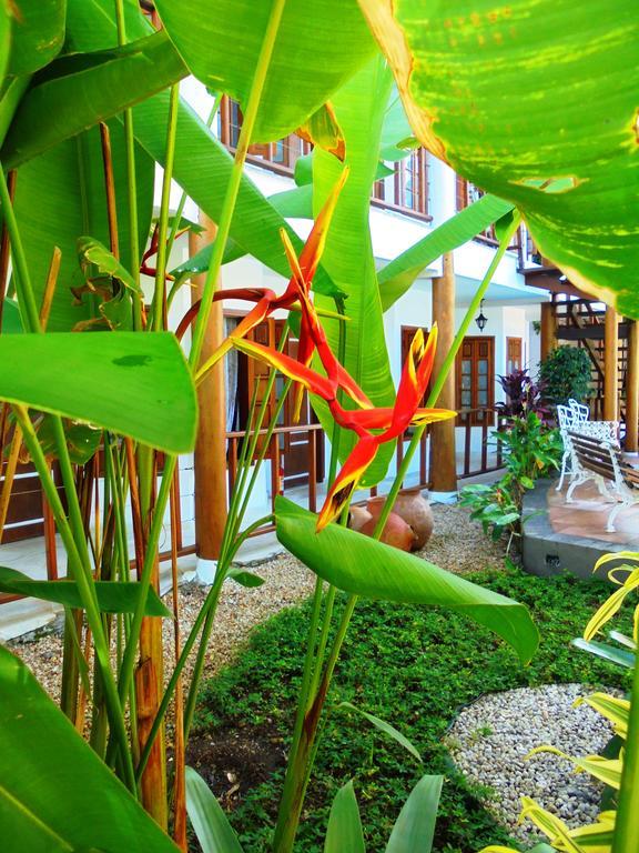 Pousada Nautilus Hotel Ilhabela Exterior photo